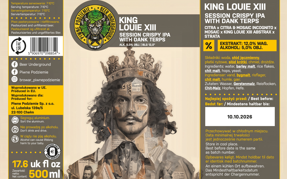 King Louie XIII